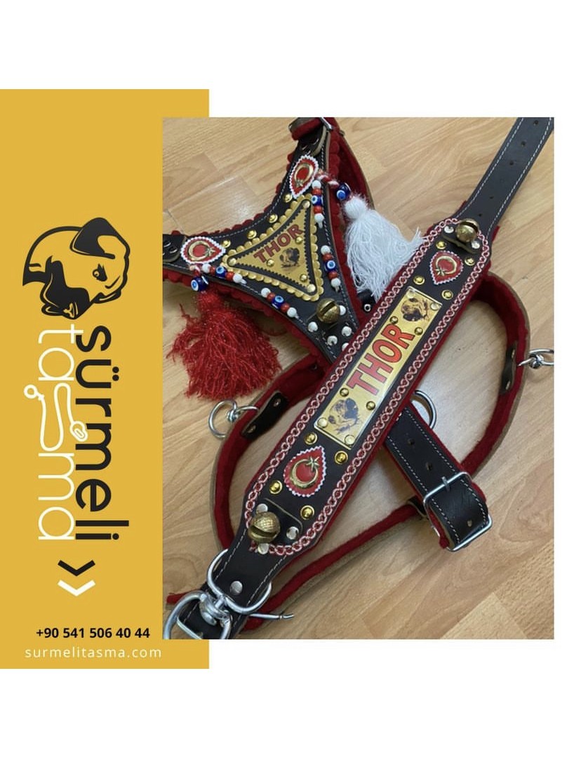 İsteğinize Özel Gladyatör Kangal Köpek Tasma Seti Hakiki Deri Göğüslük Boyunluk 1. Sınıf