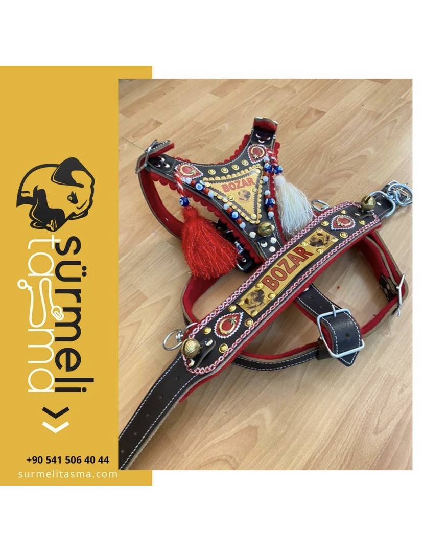 İsteğinize Özel Gladyatör Kangal Köpek Tasma Seti Hakiki Deri Göğüslük Boyunluk 1. Sınıf