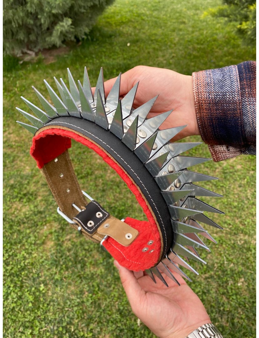 Kangal Çoban Köpek Tasması Hakiki Deri Gladyatör Serisi Eğilmez Bükülmez