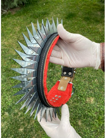 Kangal Çoban Köpek Tasması Hakiki Deri Gladyatör Serisi Eğilmez Bükülmez