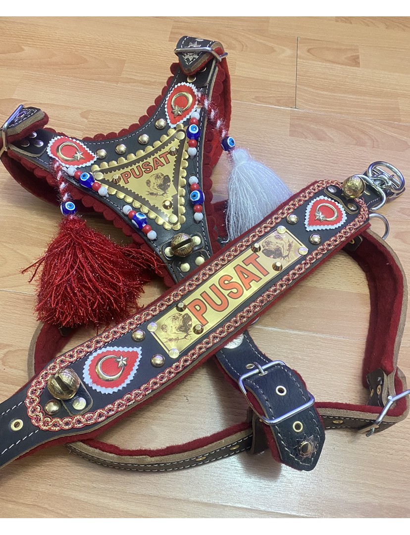 İsteğinize Özel Gladyatör Kangal Köpek Tasma Seti Hakiki Deri Göğüslük Boyunluk 1. Sınıf