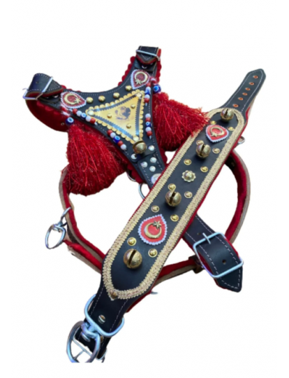 Gladyatör Kangal Köpek Tasma Seti Hakiki Deri Göğüslük Boyunluk 1. Sınıf