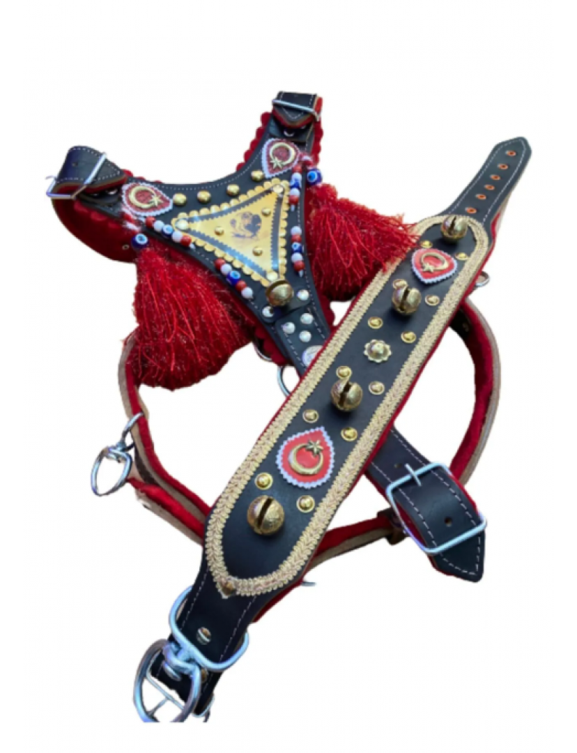 Gladyatör Kangal Köpek Tasma Seti Hakiki Deri Göğüslük Boyunluk 1. Sınıf