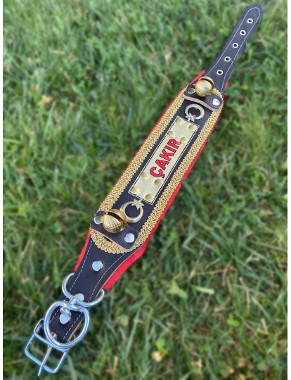 Yavru Kangal Tasması İsteğinize Özel İsimli Hakiki Deri 2 Zilli 