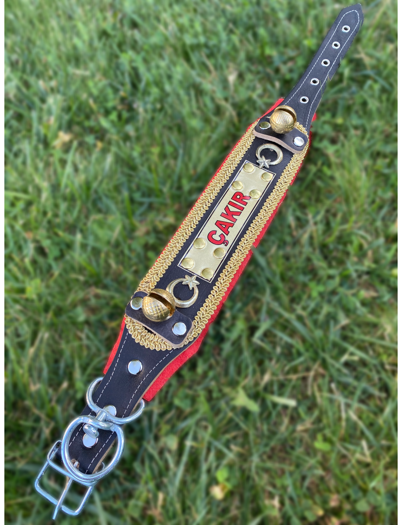 Yavru Kangal Tasması İsteğinize Özel İsimli Hakiki Deri 2 Zilli 