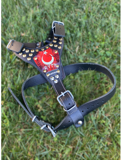 Yavru Kangal Gladyatör Göğüsten Hakiki Deri Köpek Tasması