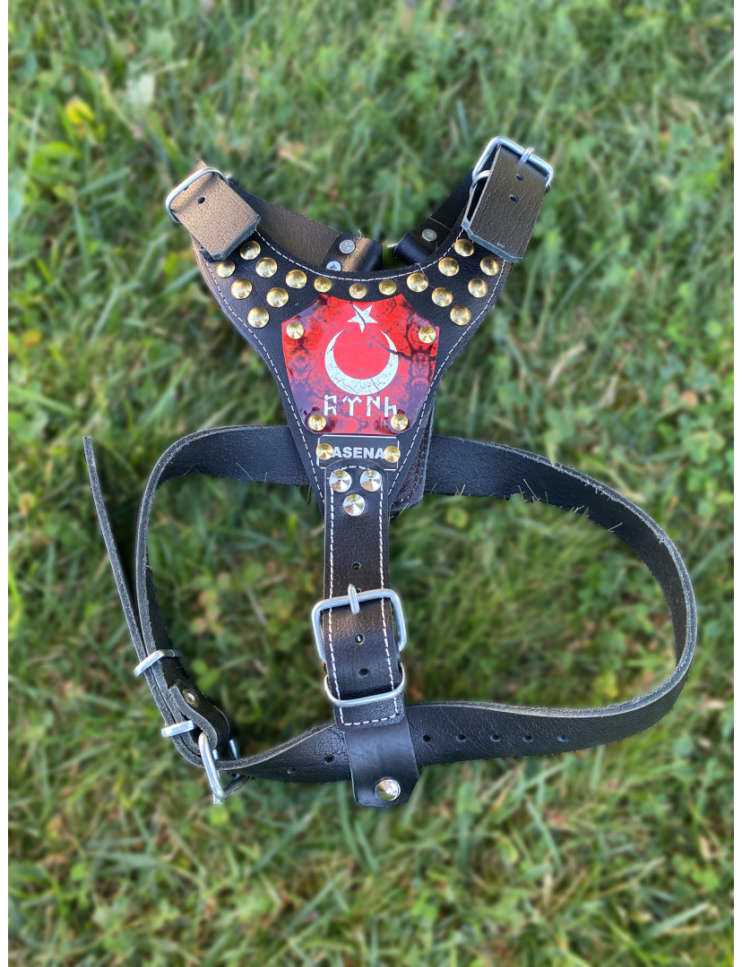 Yavru Kangal Gladyatör Göğüsten Hakiki Deri Köpek Tasması