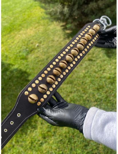 Kangal Köpek Tasması Hakiki Deri 12 Zilli 