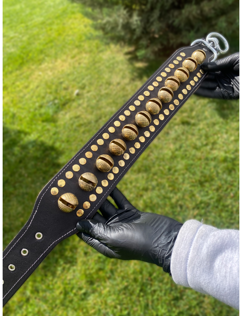 Kangal Köpek Tasması Hakiki Deri 12 Zilli 