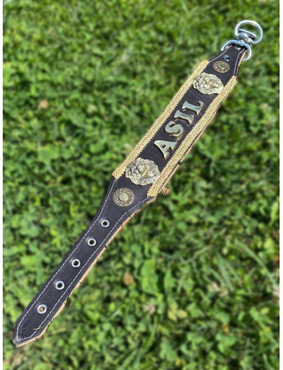 İsteğinize Özel İsimli Yavru Kangal Köpek Tasması 60 Cm Hakiki Deri 3 Boyut Harf