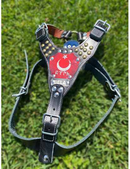 Hakiki Deri Göğüs Tasması Pitbull-K9-Rottweiler-Kangal-Doberman ve Benzer Cinsler İsteğinize Özel İsimli Ayarlanabilir 