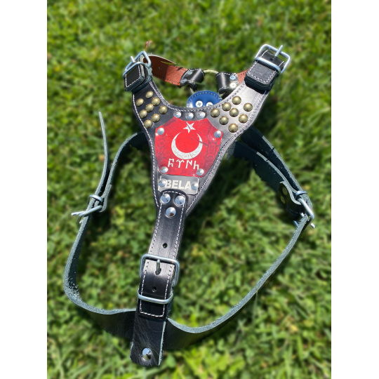 Hakiki Deri Göğüs Tasması Pitbull-K9-Rottweiler-Kangal-Doberman ve Benzer Cinsler İsteğinize Özel İsimli Ayarlanabilir 