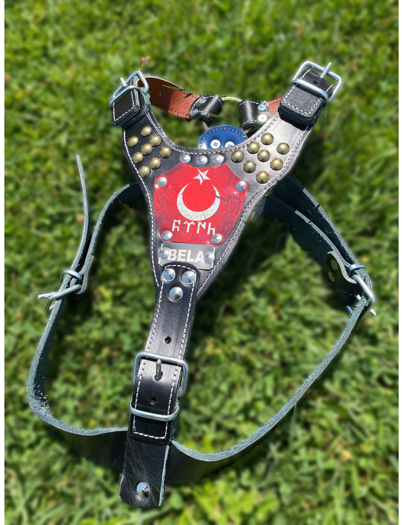 Hakiki Deri Göğüs Tasması Pitbull-K9-Rottweiler-Kangal-Doberman ve Benzer Cinsler İsteğinize Özel İsimli Ayarlanabilir 