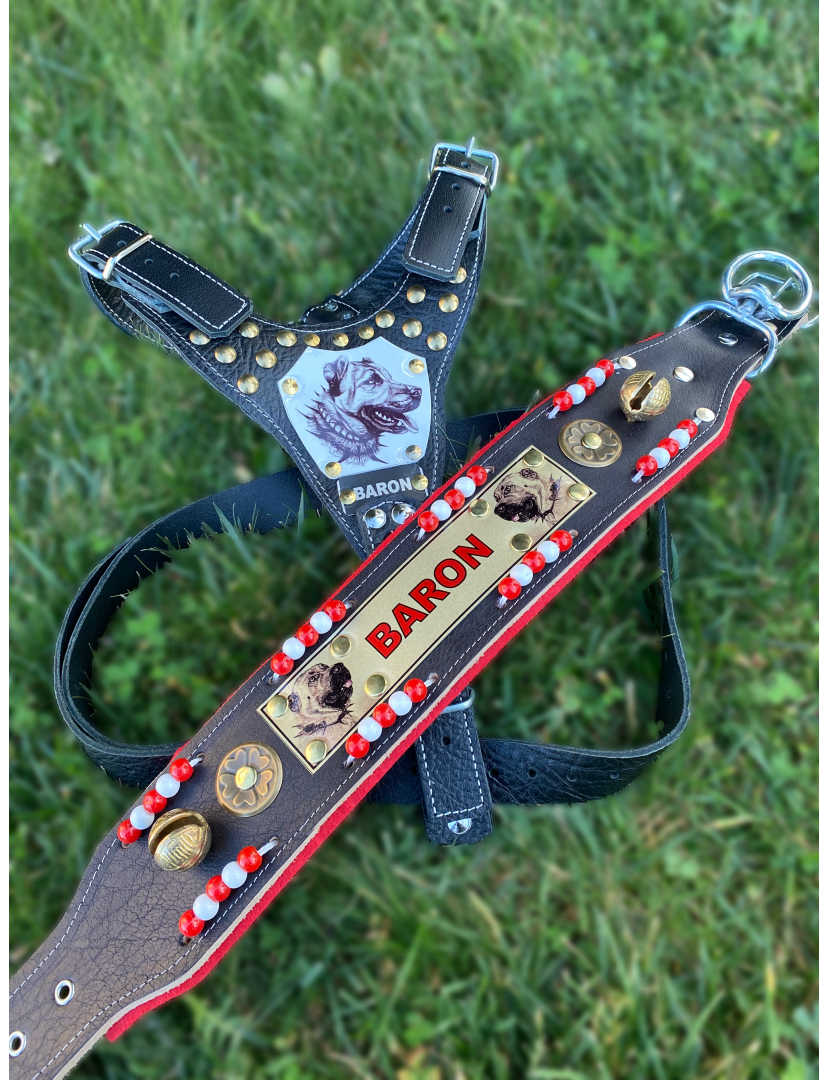 Gladyatör Kangal Köpek Tasma Seti Hakiki Deri İsteğinize Özel İsimli 