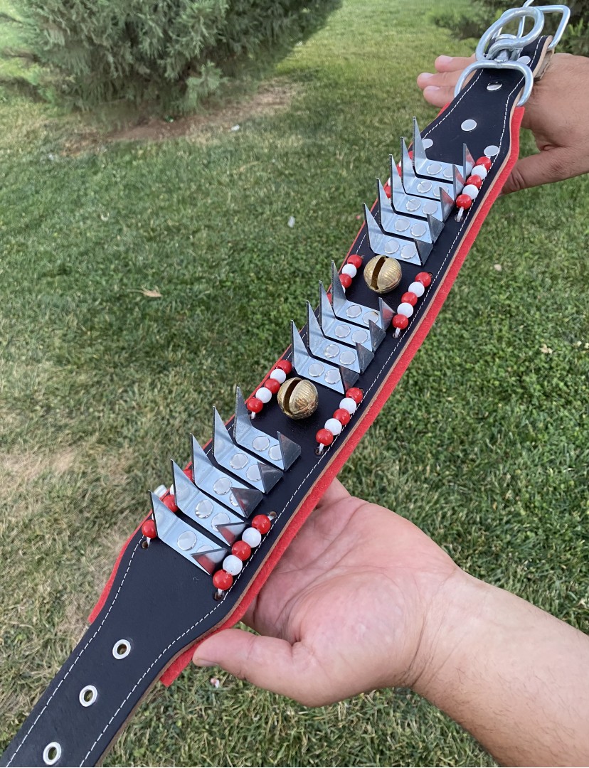 Kangal Çoban Köpek Tasması 2 Zilli Hakiki Manda Derisi Eğilmez Bükülmez Çoban Serisi