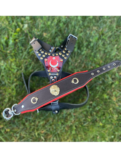 Yavru Kangal Gladyatör Köpek Tasma Seti Hakiki Deri Göğüslük Boyunluk 1. Sınıf