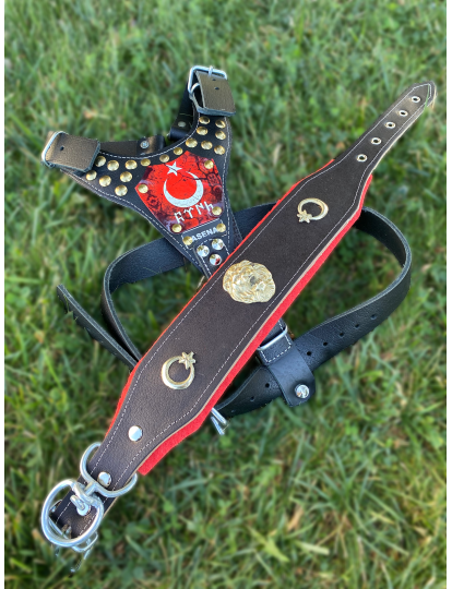 Yavru Kangal Gladyatör Köpek Tasma Seti Hakiki Deri Göğüslük Boyunluk 1. Sınıf