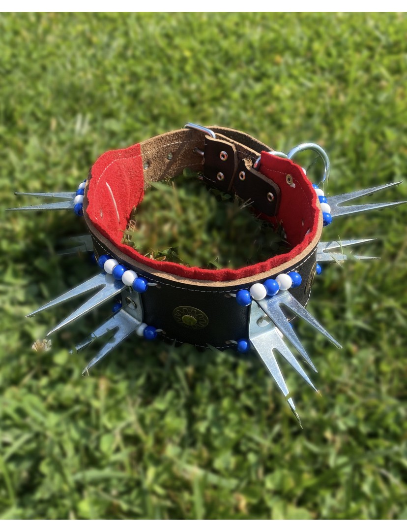 Kangal Çoban Köpek Tasması Hakiki Deri Çift Dişli Çoban Serisi Mavi Beyaz Boncuklu