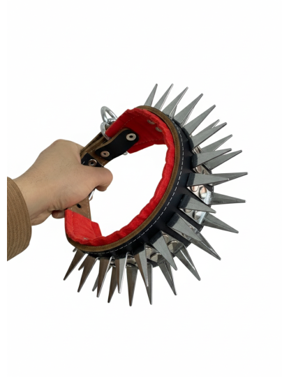 Yavru Kangal Çoban Tasması 60 Cm Hakiki Manda Derisi