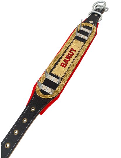İsteğinize Özel İsimli Yavru Kangal Çoban Tasması Hakiki Deri Zilsiz Model 60 Cm