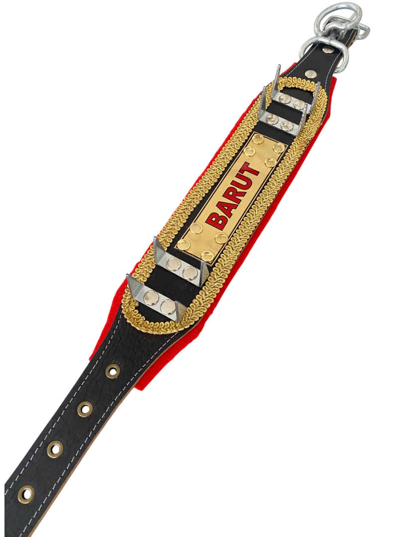 İsteğinize Özel İsimli Yavru Kangal Çoban Tasması Hakiki Deri Zilsiz Model 60 Cm