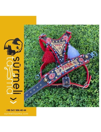  İsteğinize Özel Gladyatör Kangal Köpek Tasma Seti Hakiki Deri Göğüslük Boyunluk 1. Sınıf