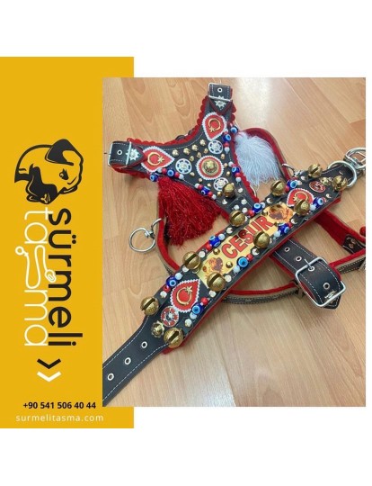 İsteğinize Özel Gladyatör Kangal Köpek Tasma Seti 10 Zilli Model Hakiki Deri Göğüslük Boyunluk 1. Sınıf