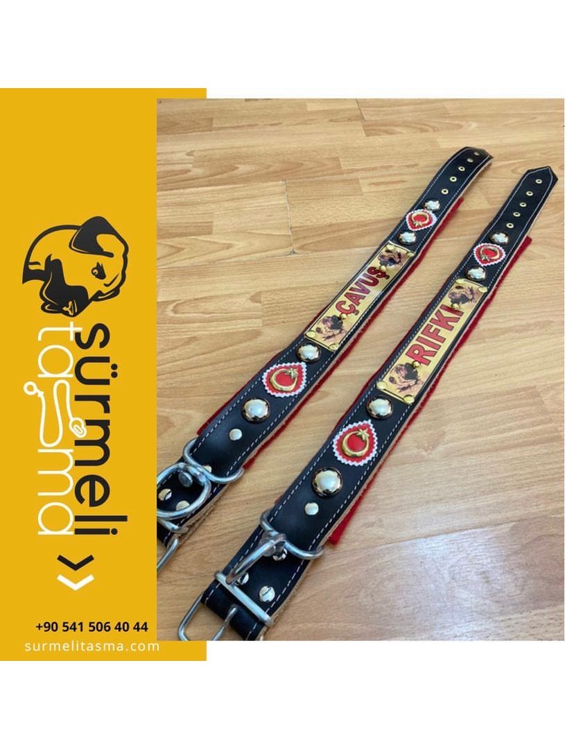 İsteğinize Özel İsimli Hakiki Deri Kangal Köpek Tasması Boyunluk 1. Sınıf