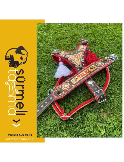 İsteğinize Özel Gladyatör Kangal Köpek Tasma Seti Avrupa Model Hakiki Deri Göğüslük Boyunluk 1. Sınıf