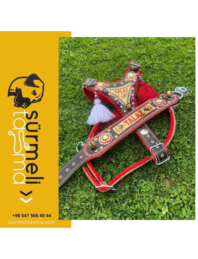 İsteğinize Özel Gladyatör Kangal Köpek Tasma Seti Avrupa Model Hakiki Deri Göğüslük Boyunluk 1. Sınıf