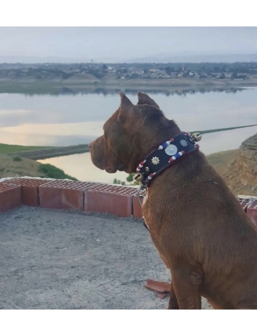 Hakiki Deri Yavru Köpek Tasması Zilli 