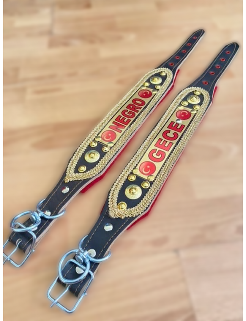 İsteğinize Özel İsimli Yavru Kangal Köpek Tasması Hakiki Manda Derisi