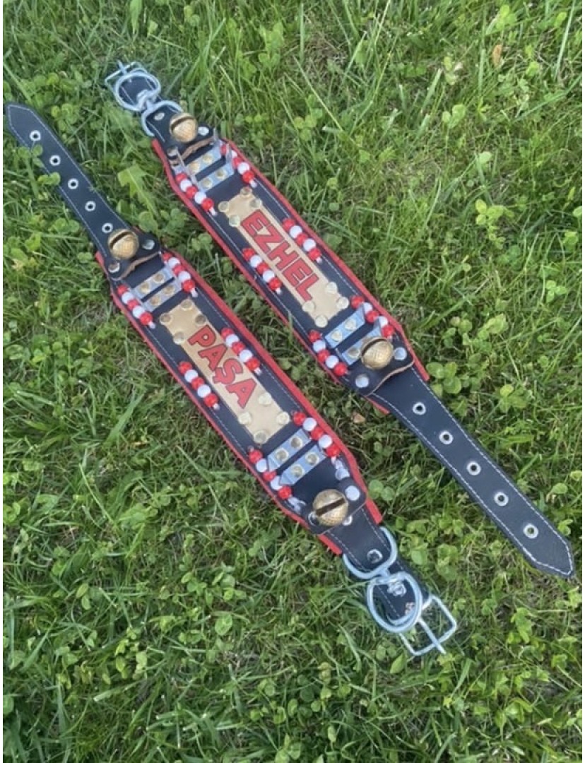 İsteğinize Özel İsimli Yavru Kangal Çoban Köpek Tasması Hakiki Manda Derisi Zilli Dikenli