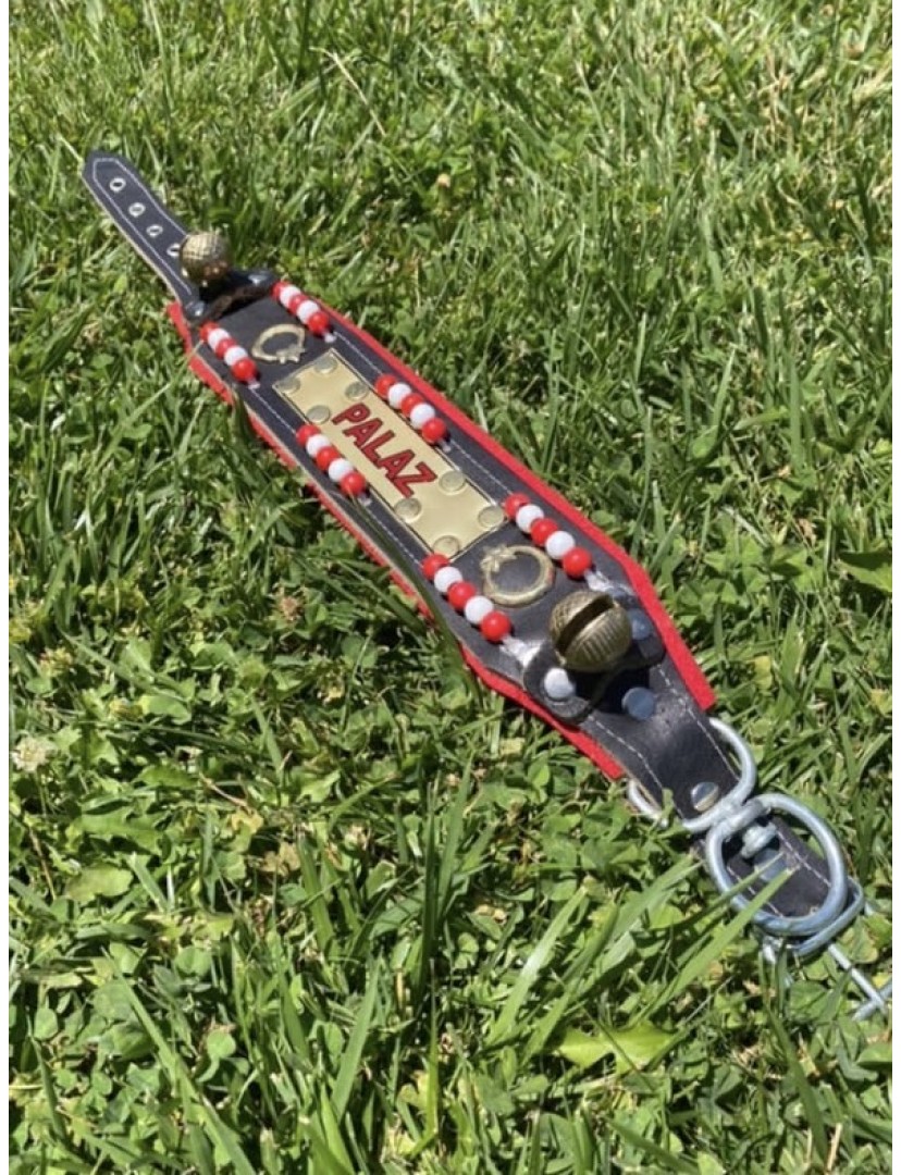 İsteğinize Özel İsimli Yavru Kangal Köpek Tasması Hakiki Manda Derisi Zilli