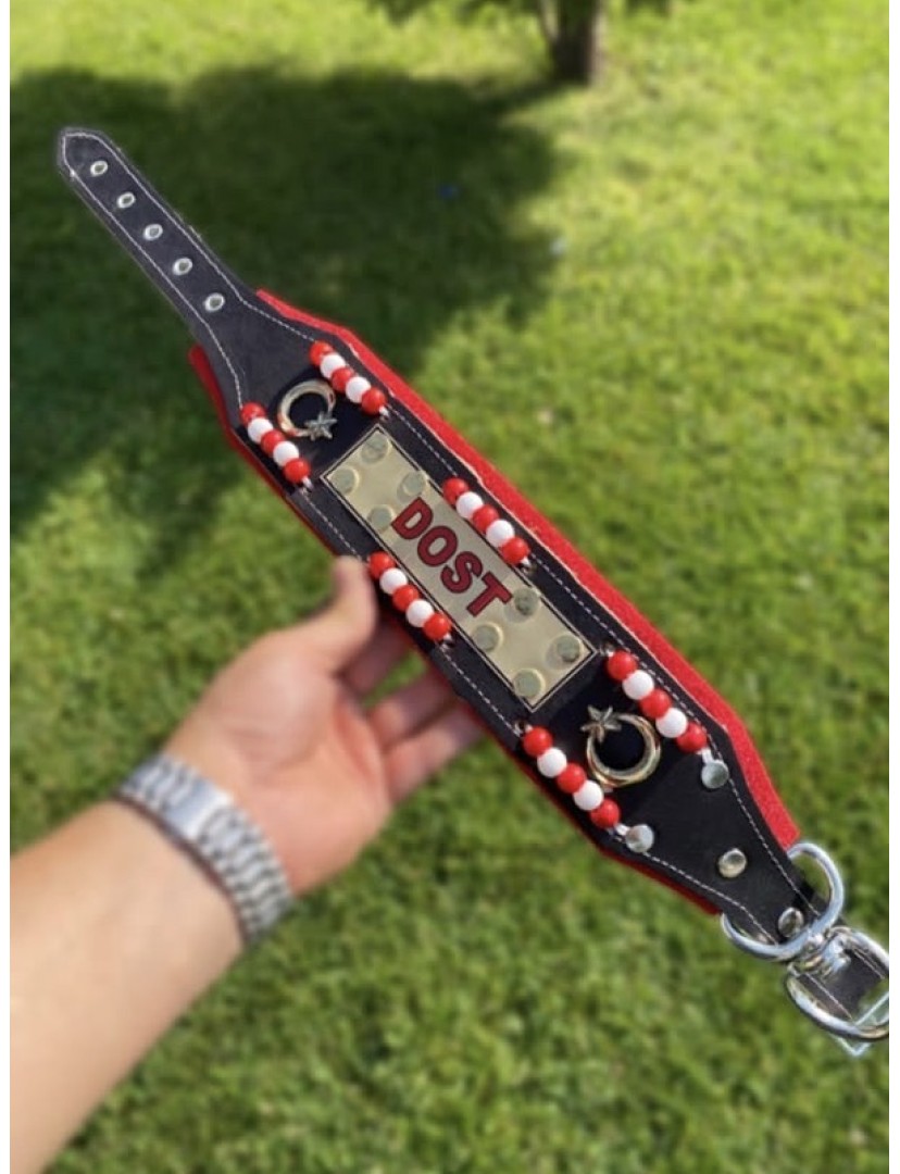 İsteğinize Özel İsimli Yavru Kangal Köpek Tasması Hakiki Manda Derisi Zilsiz Model