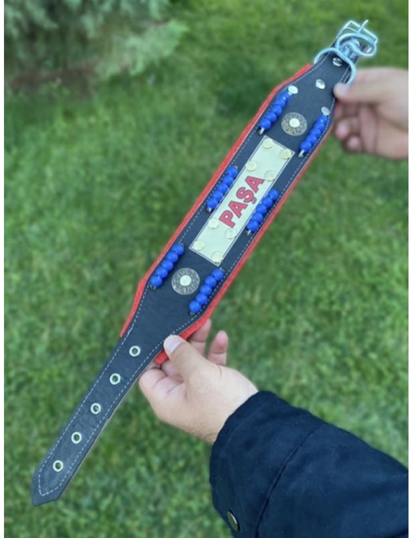 İsteğinize Özel İsimli Yavru Kangal Köpek Tasması Hakiki Manda Derisi Zilsiz Model