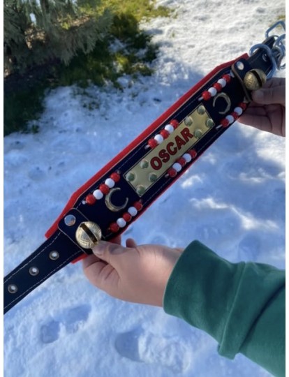 İsteğinize Özel İsimli Yavru Kangal Köpek Tasması Hakiki Manda Derisi Zilli