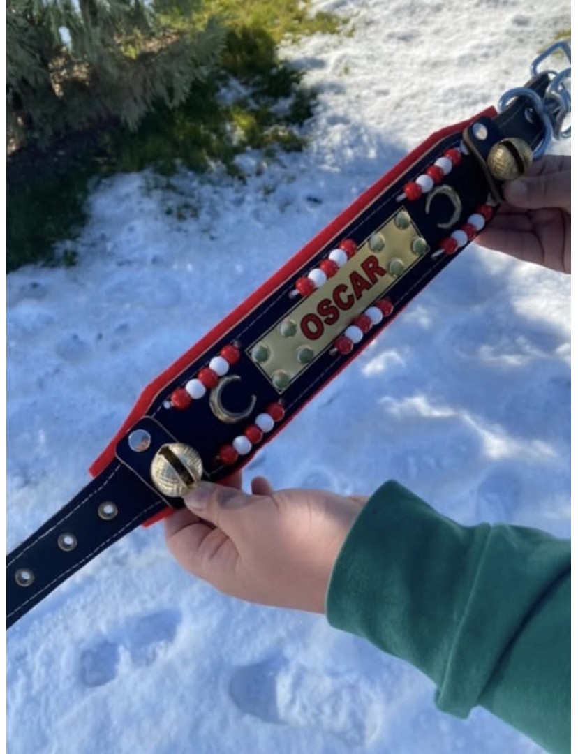 İsteğinize Özel İsimli Yavru Kangal Köpek Tasması Hakiki Manda Derisi Zilli