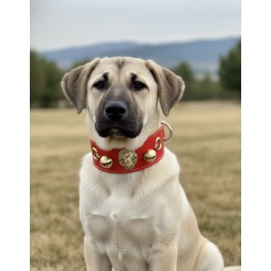 Hakiki Manda Derisi Yavru Kangal Tasması Kırmızı Çift Zilli Ayarlanabilir