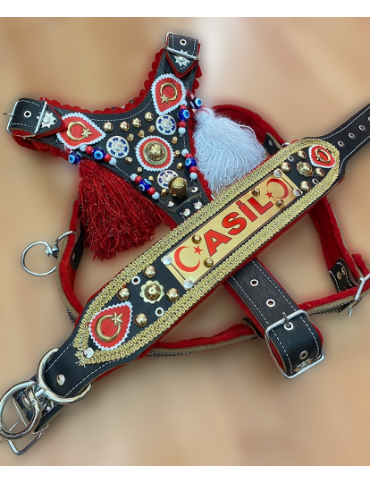 İsteğinize Özel İsimli Gladyatör Kangal Köpek Tasma Seti Hakiki Deri Göğüslük Boyunluk 1. Sınıf