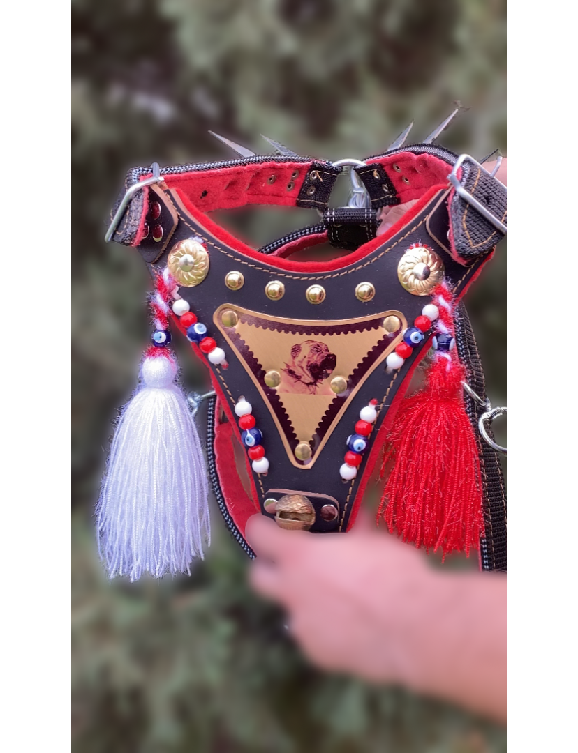 Kangal Çoban Gladyatör Göğüs Tasması Çift Kat 1. Sınıf