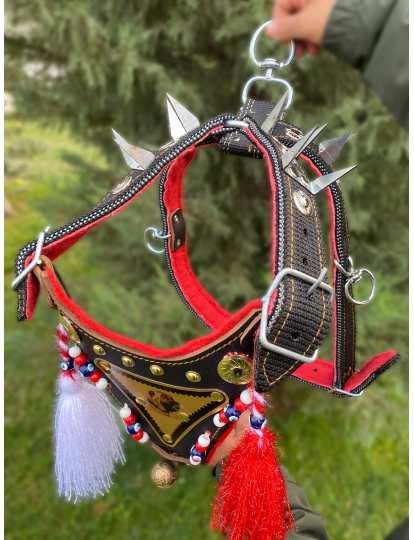 Kangal Çoban Gladyatör Göğüs Tasması Çift Kat 1. Sınıf