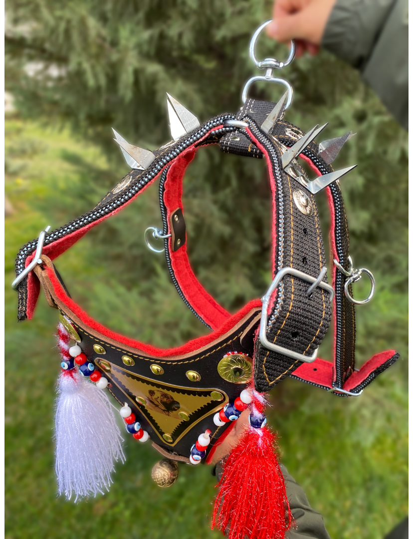 Kangal Çoban Gladyatör Göğüs Tasması Çift Kat 1. Sınıf