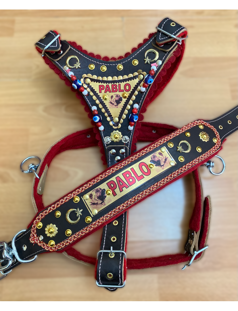 İsteğinize Özel Gladyatör Kangal Köpek Tasma Seti Hakiki Deri Göğüslük Boyunluk 1. Sınıf