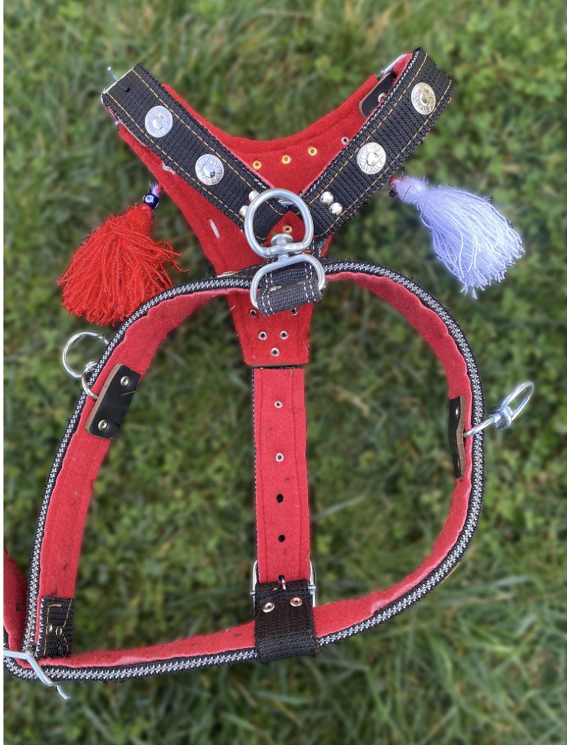 Gladyatör Göğüsten Kangal Tasması Çift Kat Ultra Dayanıklı Ayarlanabilir