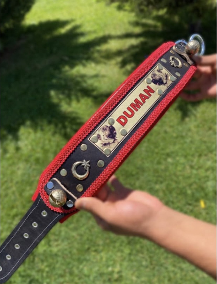 İsteğinize Özel İsimli Hakiki Deri Kangal Köpek Tasması 2 Zilli Boyunluk 1. Sınıf