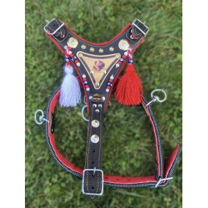 Gladyatör Göğüsten Kangal Tasması Çift Kat Ultra Dayanıklı Ayarlanabilir