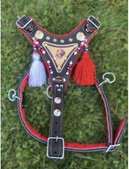 Gladyatör Göğüsten Kangal Tasması Çift Kat Ultra Dayanıklı Ayarlanabilir