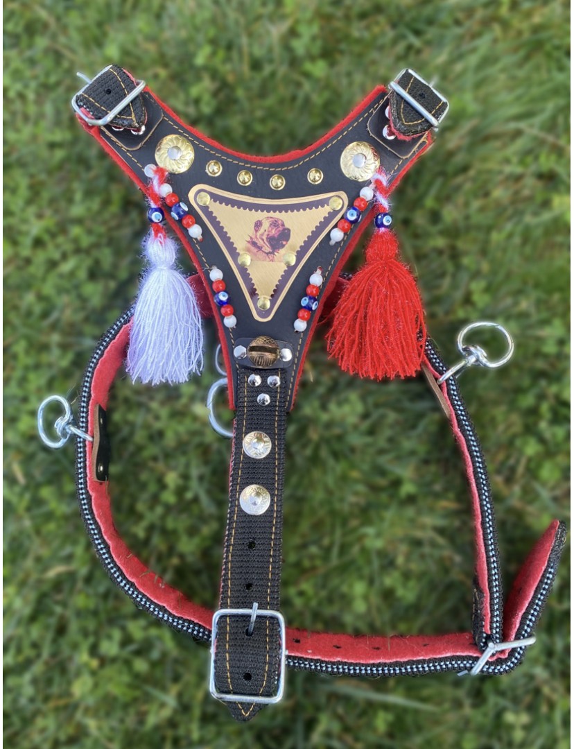 Gladyatör Göğüsten Kangal Tasması Çift Kat Ultra Dayanıklı Ayarlanabilir