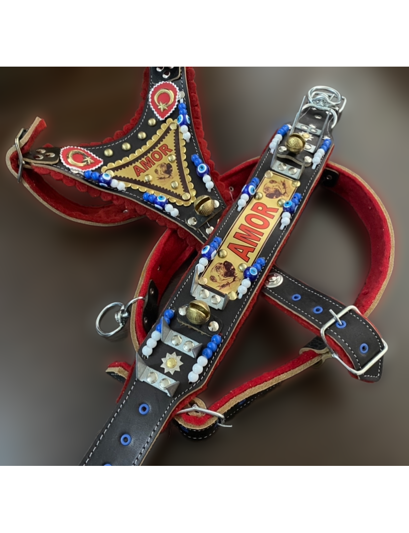 İsteğinize Özel İsimli Gladyatör Kangal Çoban Köpek Tasma Seti Hakiki Deri Göğüslük Boyunluk 1. Sınıf